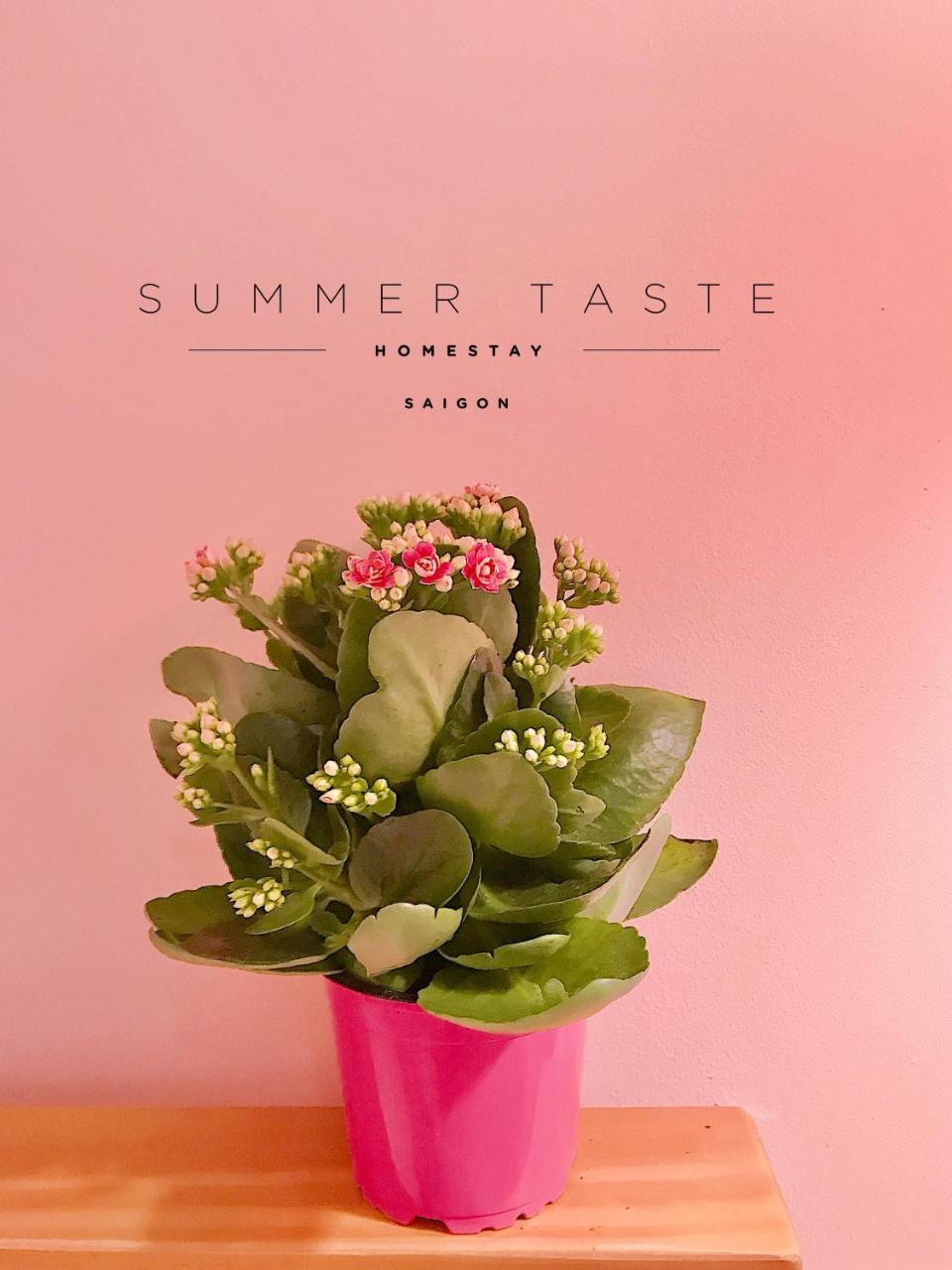 Summer Taste Homestay Хошимин Экстерьер фото
